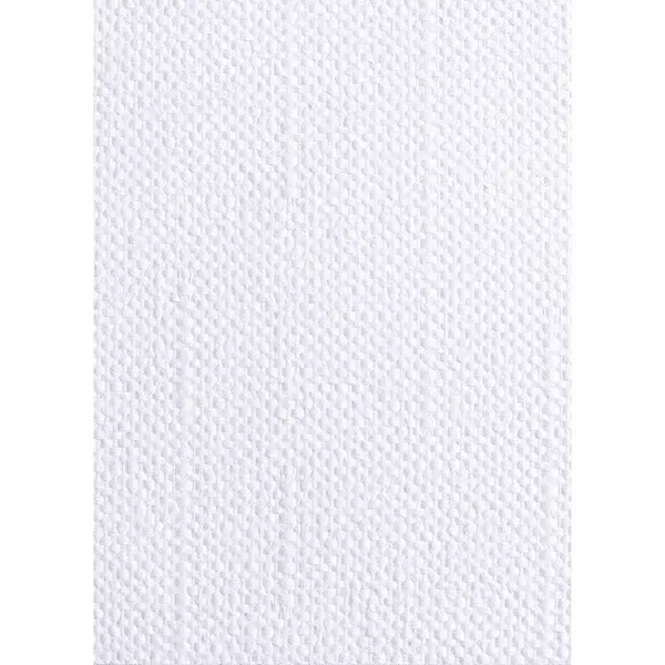 Стеклообои BauTex Luxury Lux 2 (1х25 м), плотность 260 г/кв.м - 389 Dh LT_ADVGR_ALTPHOTO 1