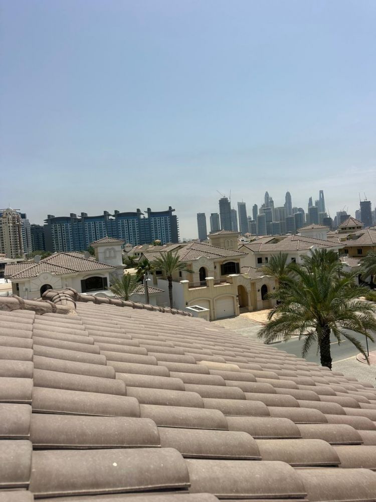 Устранение протечек кровли в Дубае (ID: 85) LT_ADVGR_ALTPHOTO 3