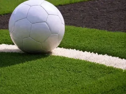 Футбольное искусственное покрытие (ID:31)